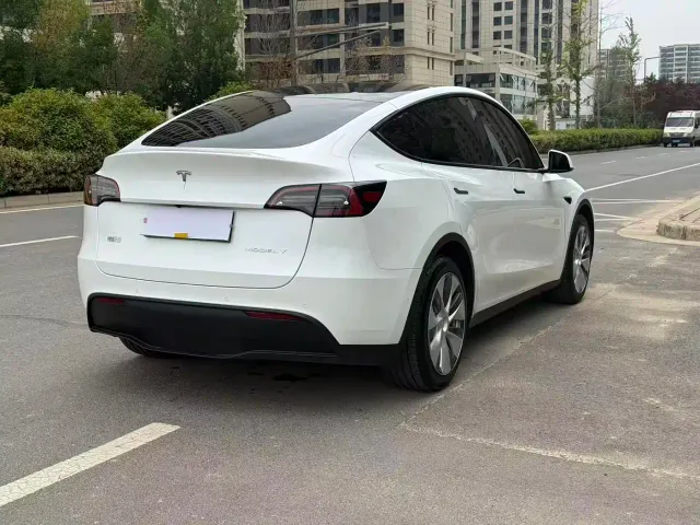 Tesla Model Y — Фото автомобиля 10