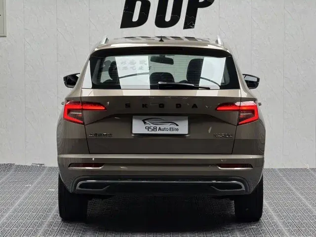 Skoda Karoq — Фото автомобиля 15