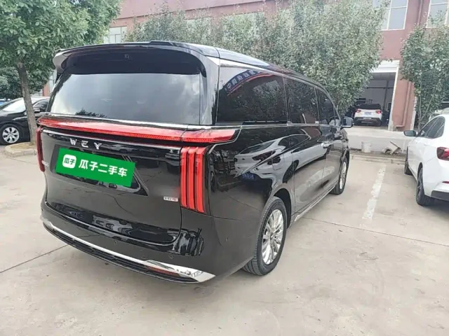 Wey Alpine — Фото автомобиля 6