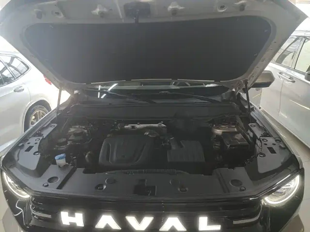 Haval Big Dog — Фото автомобиля 19