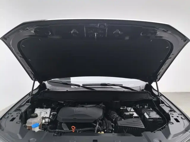 Haval Big Dog — Фото автомобиля 6