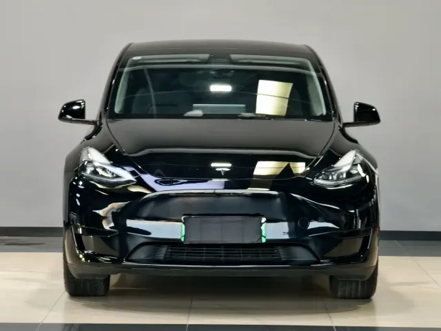 Tesla Model Y — Фото автомобиля 2