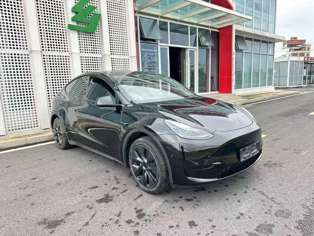 Tesla Model Y — Фото автомобиля 22