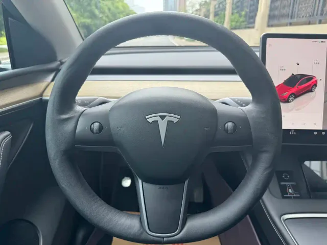 Tesla Model Y — Фото автомобиля 13