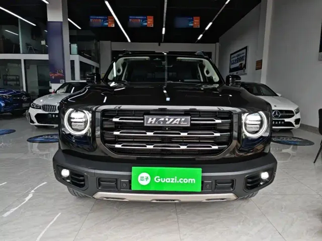 Haval Haval Big Dog 2021 1.5T DCT 2WD Border Collie Edition — Фото автомобиля 2