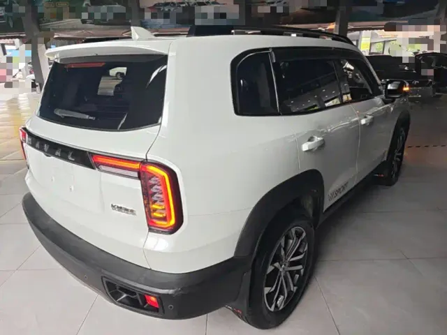 Haval Haval Big Dog 2021 1.5T DCT 2WD Border Collie Edition — Фото автомобиля 6