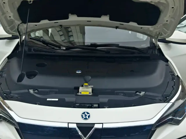 Venucia D60 EV — Фото автомобиля 23