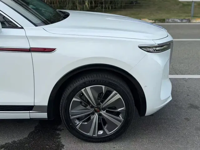 Hongqi Hongqi E-HS9 2021 460km Flagship Deluxe 7-seater — Фото автомобиля 10