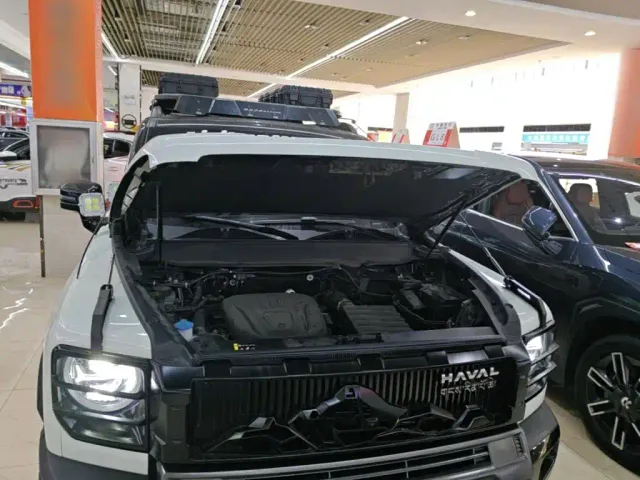 Haval Raptor — Фото автомобиля 19