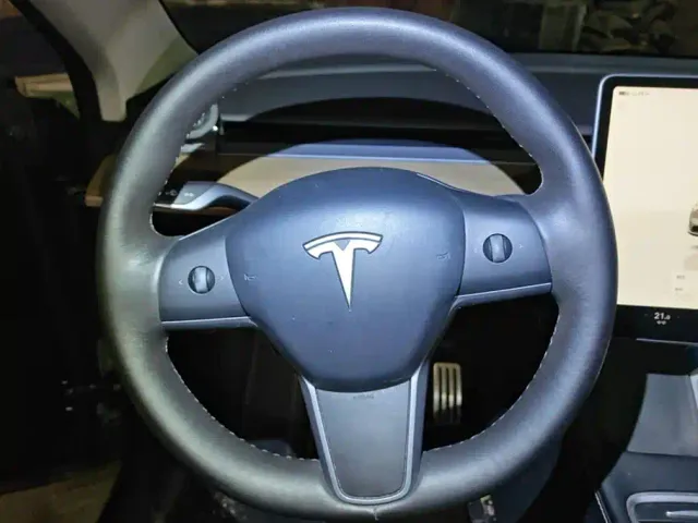 Tesla Model Y — Фото автомобиля 15