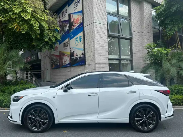 Lexus RX — Фото автомобиля 10