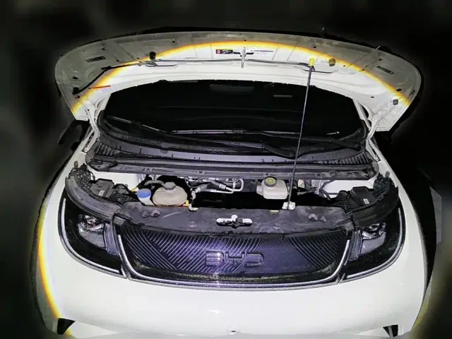 BYD Dolphin — Фото автомобиля 3