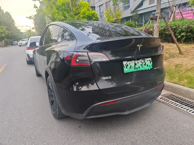 Tesla Model Y — Фото автомобиля 6