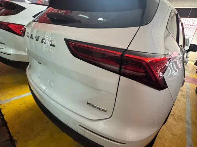 Haval H6 — Фото автомобиля 16