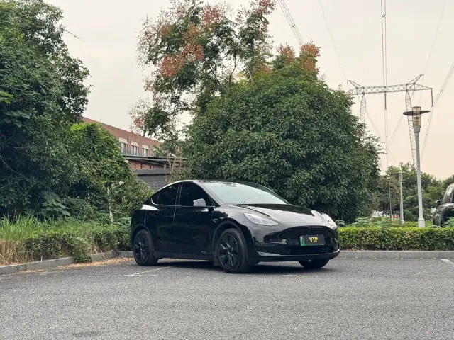 Tesla Model Y — Фото автомобиля 3