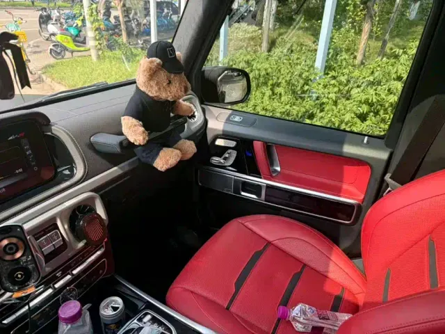 Mercedes-Benz G-Class AMG — Фото автомобиля 8