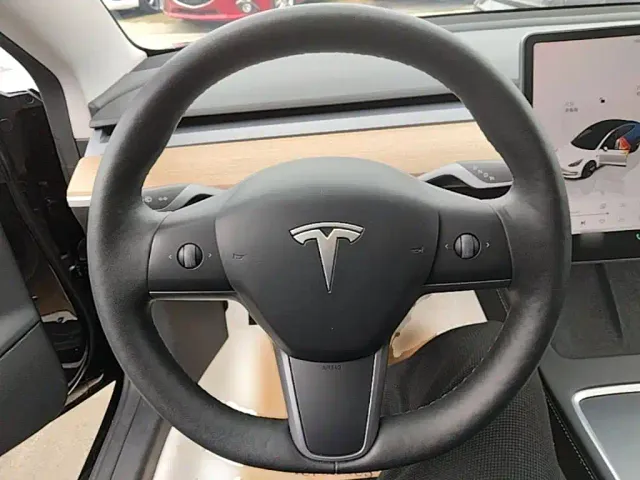 Tesla Model 3 — Фото автомобиля 10