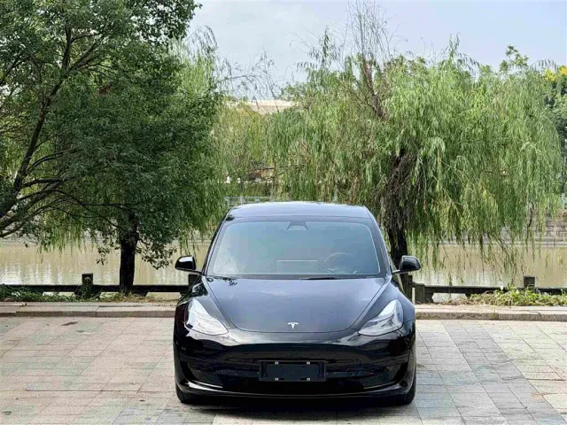 Tesla Model 3 2022 Model Rear-Wheel Drive Version — Фото автомобиля 2