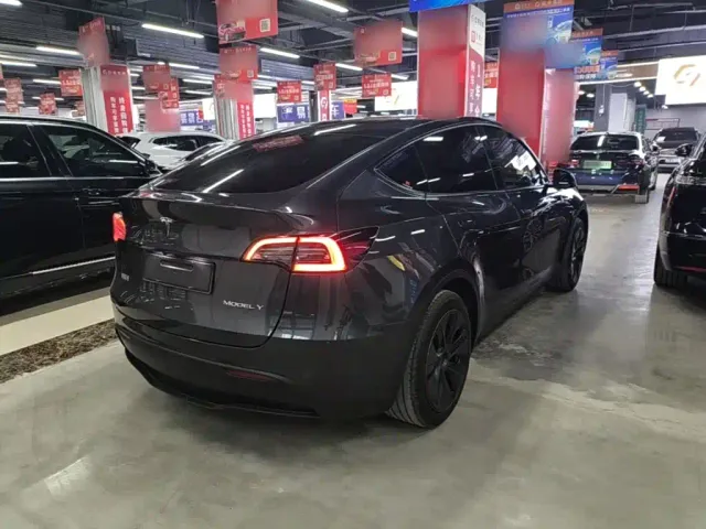 Tesla Model Y — Фото автомобиля 6