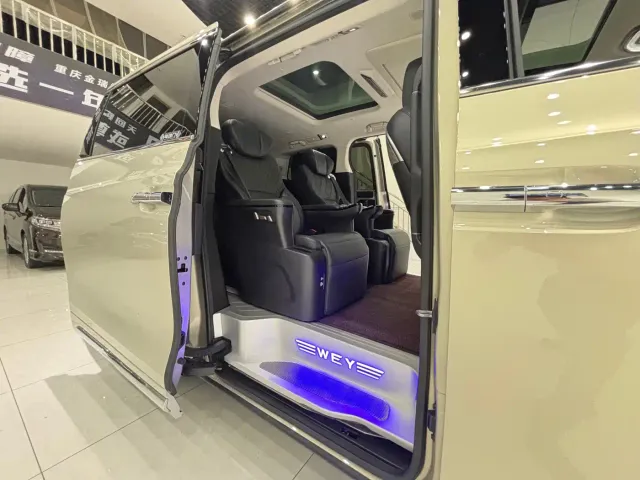 Wey Alpine — Фото автомобиля 20
