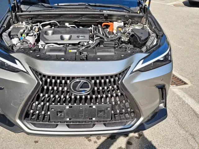 Lexus NX — Фото автомобиля 17