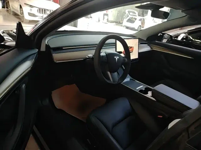 Tesla Model 3 — Фото автомобиля 14