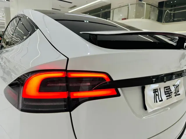 Tesla Model X — Фото автомобиля 14