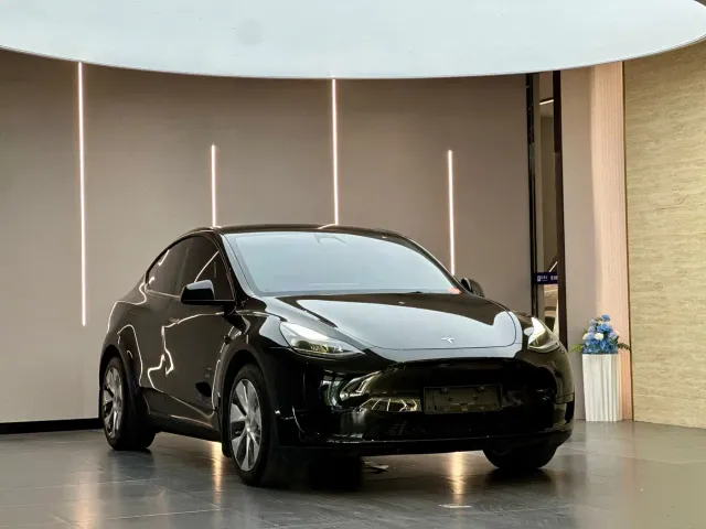 Tesla Model Y — Фото автомобиля 3