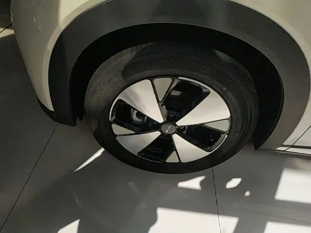 BYD Dolphin — Фото автомобиля 22