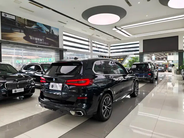 BMW BMW X5 2022 xDrive 30Li Premium M Sport Package — Фото автомобиля 13