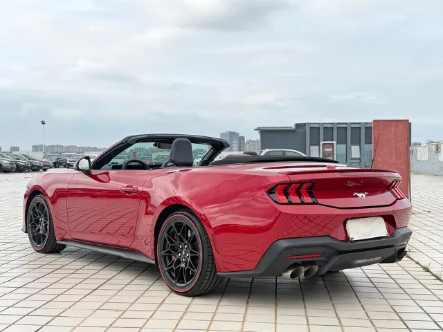 Ford Mustang — Фото автомобиля 11