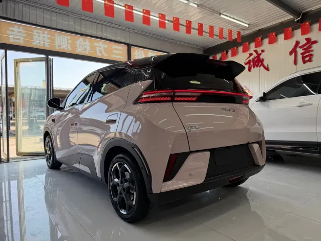 BYD Seagull — Фото автомобиля 3