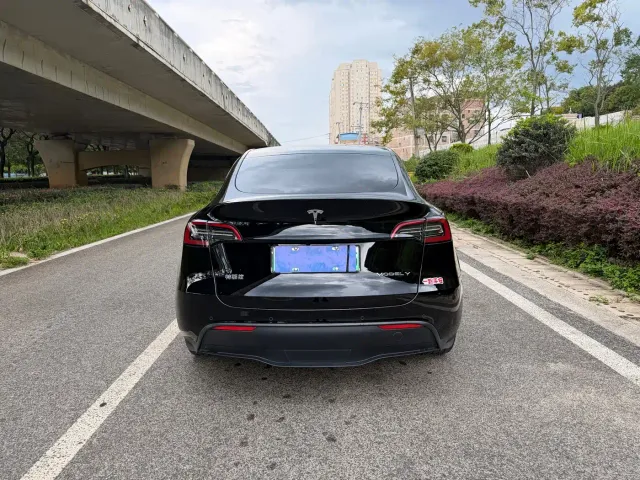 Tesla Model Y — Фото автомобиля 8