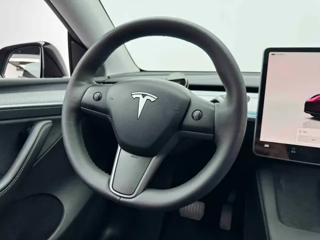 Tesla Model Y — Фото автомобиля 10