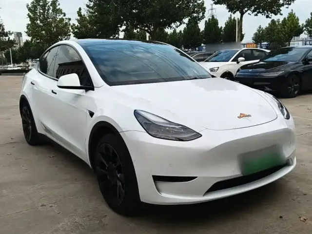 Tesla Model Y — Фото автомобиля 3