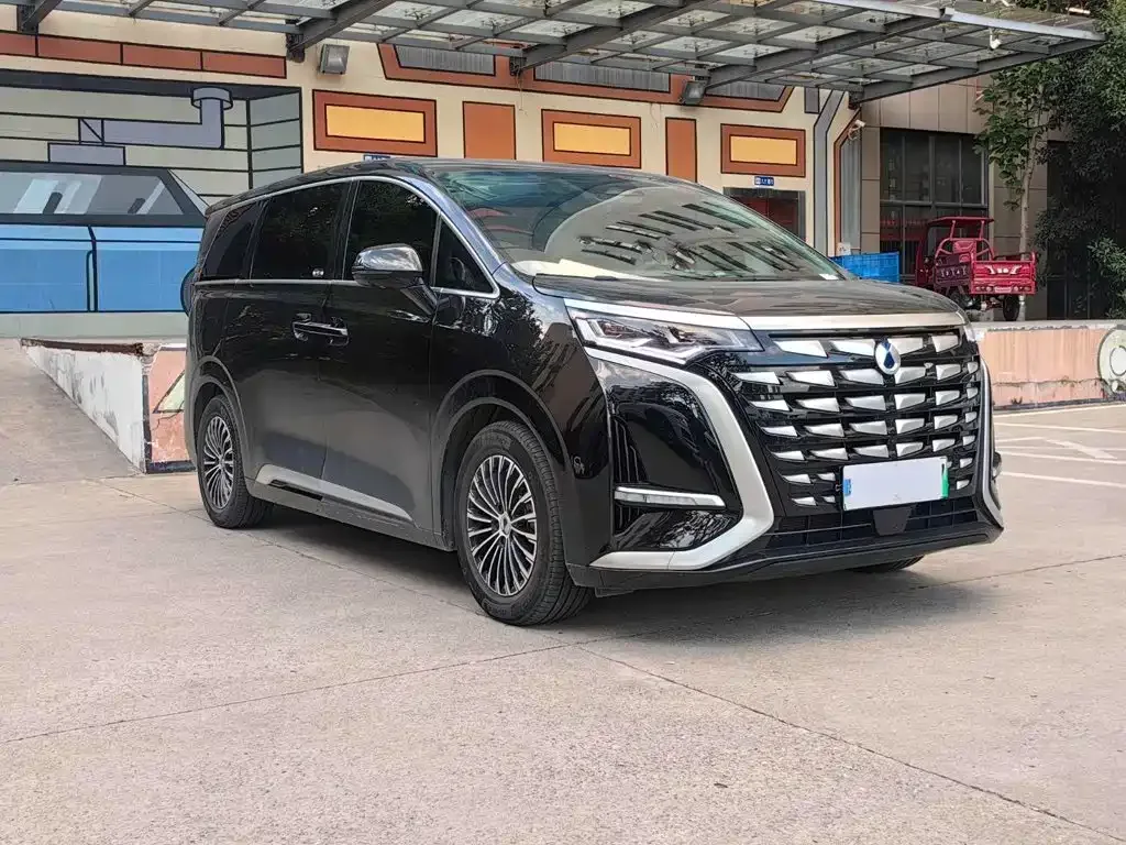 Denza Denza D9 2022 DM-i 1040 Premium — Фото автомобиля 3