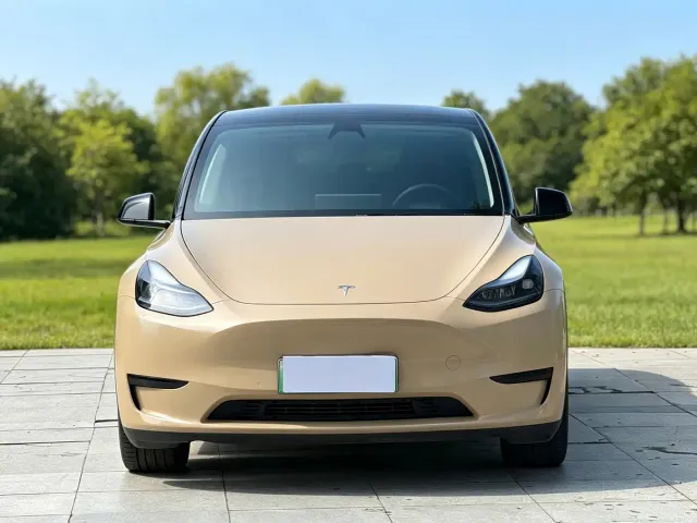 Tesla Model Y — Фото автомобиля 2
