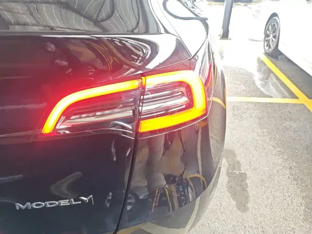 Tesla Model Y — Фото автомобиля 7