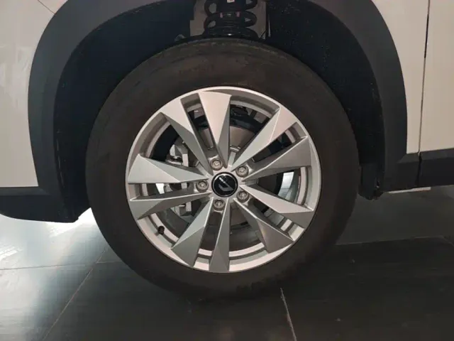 Jetta VS8 — Фото автомобиля 22
