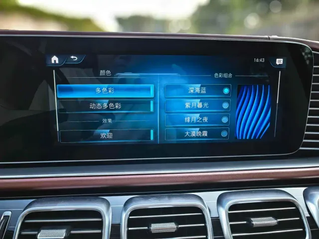 Mercedes-Benz Maybach GLS — Фото автомобиля 12