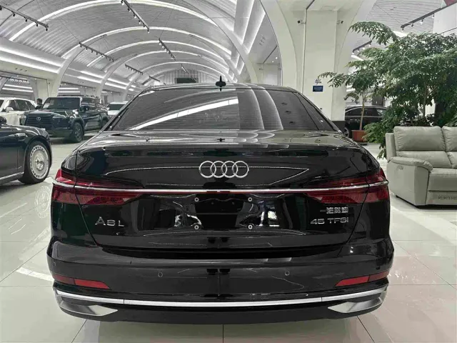 Audi A6L — Фото автомобиля 19
