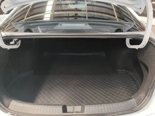 Volkswagen Sagitar — Фото автомобиля 14