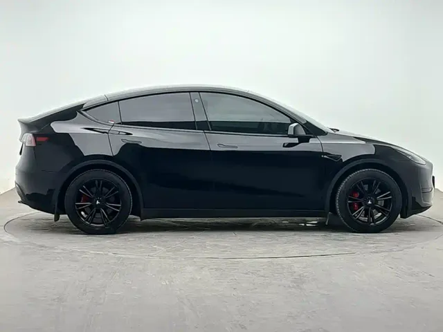 Tesla Model Y — Фото автомобиля 3