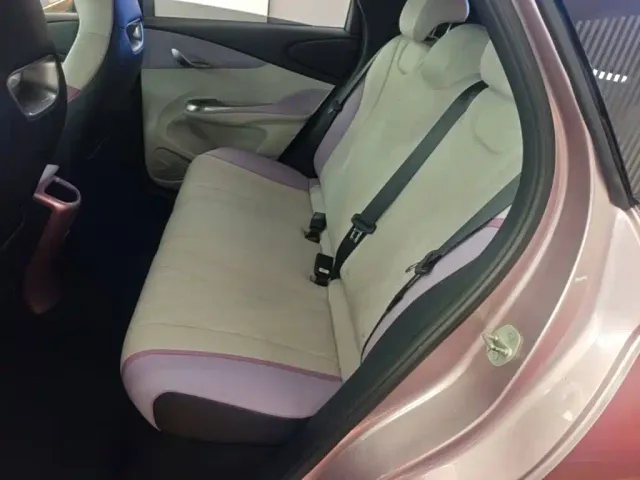 BYD Dolphin — Фото автомобиля 16