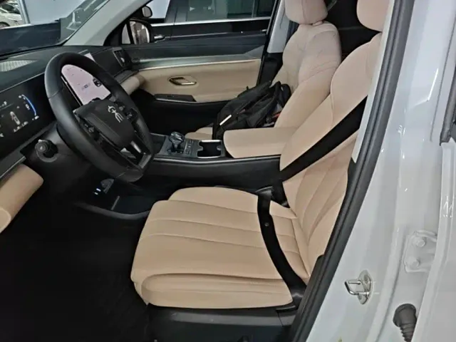 BYD Song Pro — Фото автомобиля 14