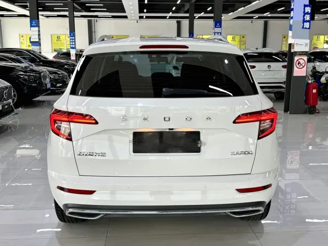 Skoda Karoq — Фото автомобиля 11