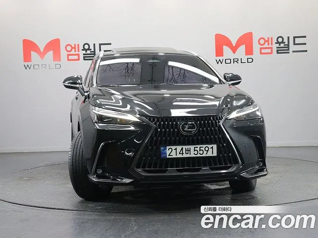 Lexus NX Generation 2 — Фото автомобиля 2