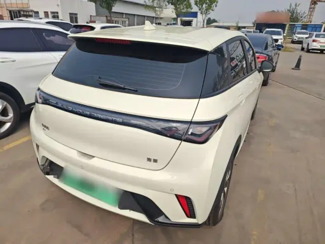 BYD Dolphin — Фото автомобиля 6