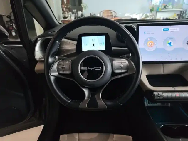 BYD Dolphin — Фото автомобиля 10