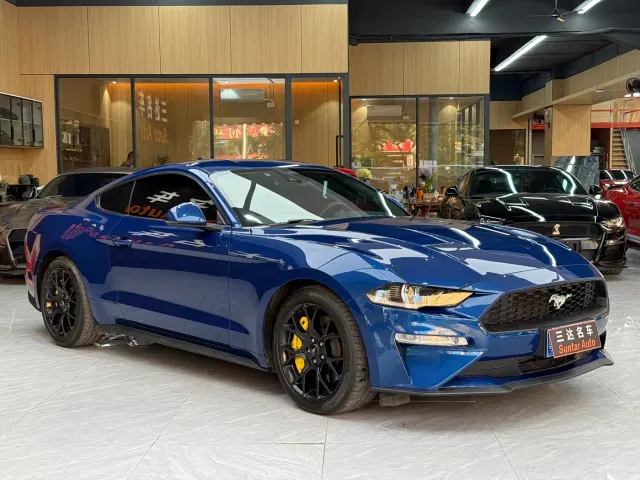 Ford Mustang — Фото автомобиля 4